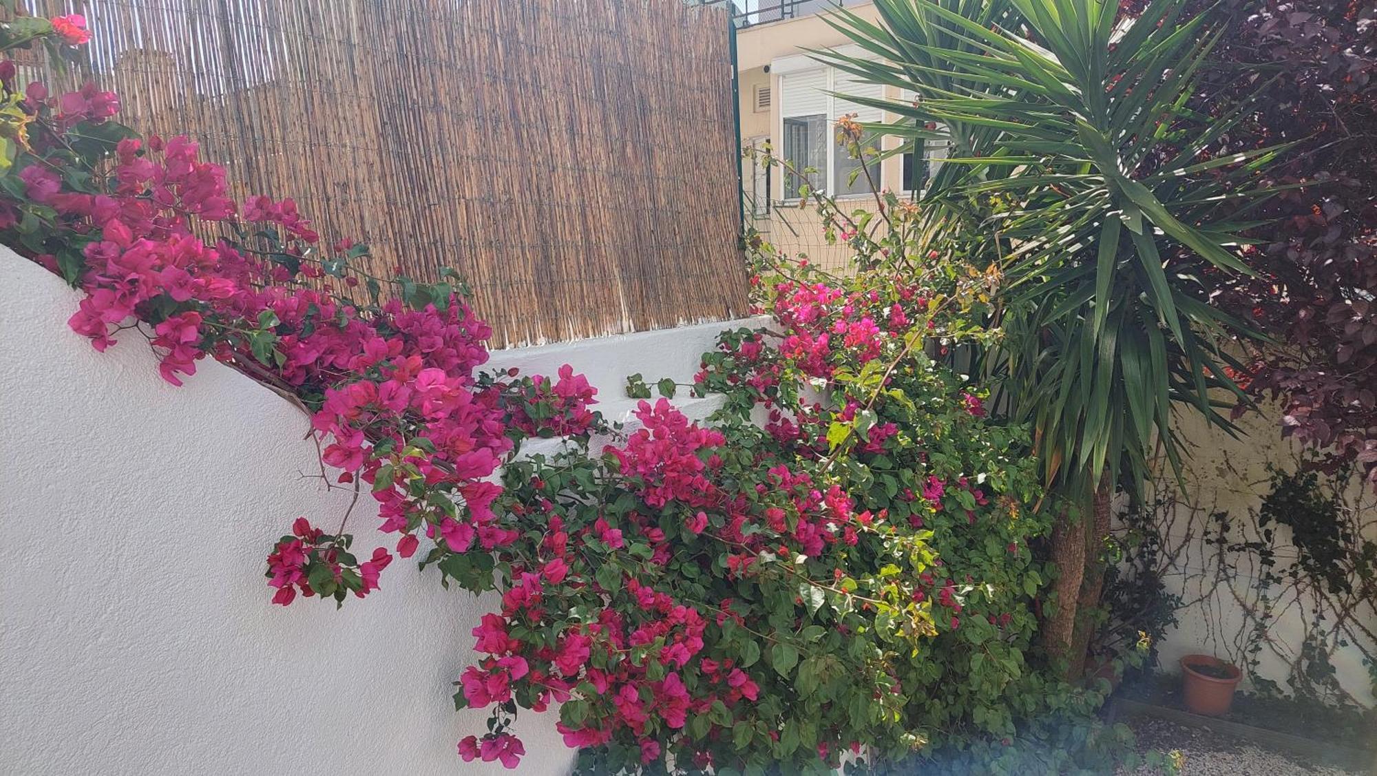 Apartment With Private Garden - Central Location Lisbon Bagian luar foto